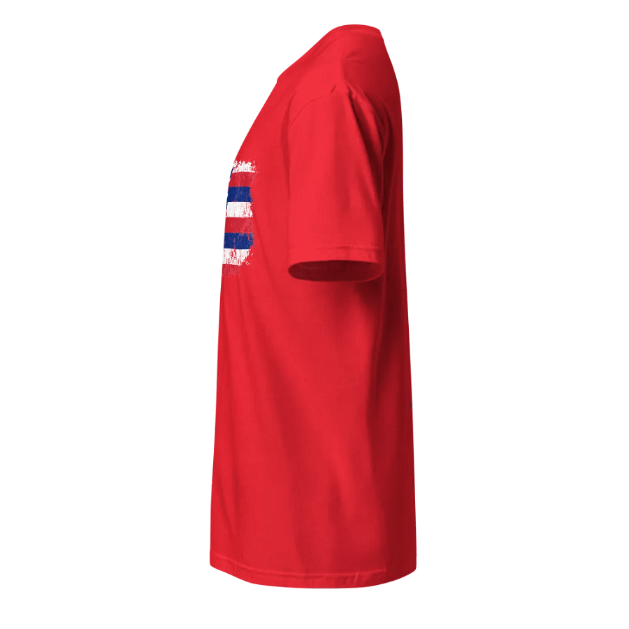 Hawaii State Flag product image (3)
