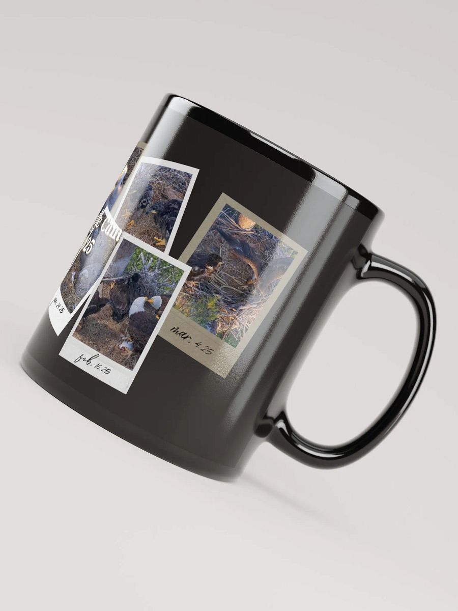 Journey | Black Mug | Captiva Eagle Cam 2024-2025 product image (5)