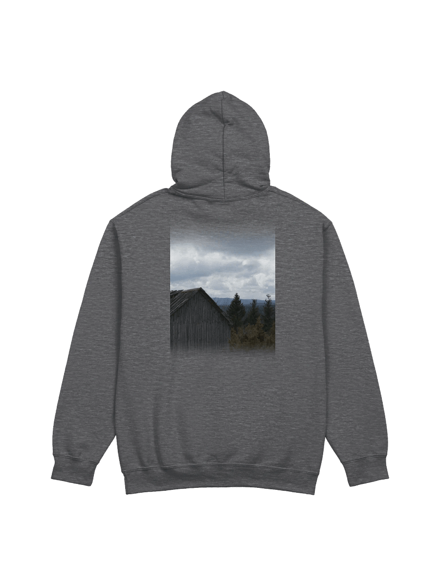 Elec Ghosts Special Hoodie product image (2)