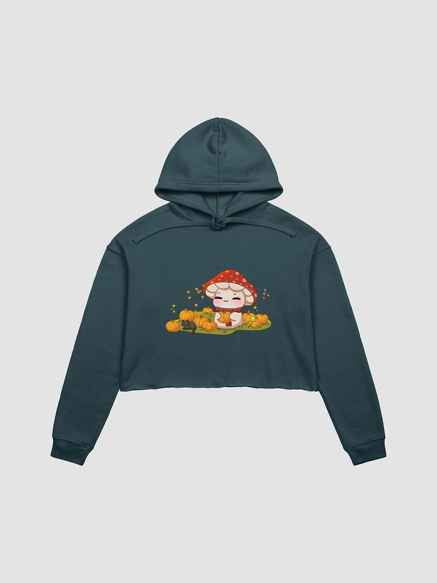 Mushie Pumpkin Patch Cropped Hoodie product image (5)