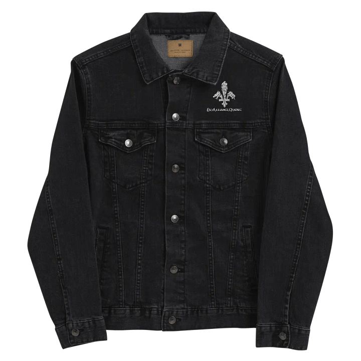 Veste en Jeans | Brodé product image (1)