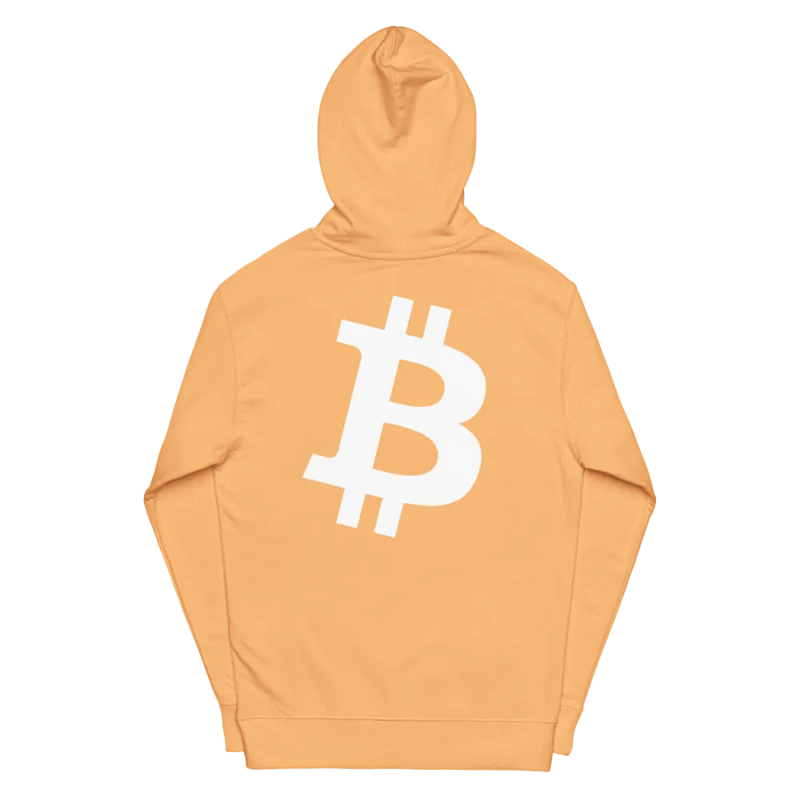 Embroidered ₿itcoin Orange-Peach Hoody product image (6)