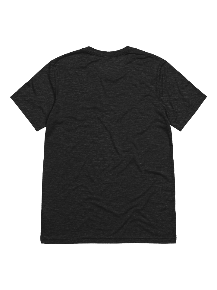Ship Landing (4/4 NMG Illustration) Shirt product image (7)