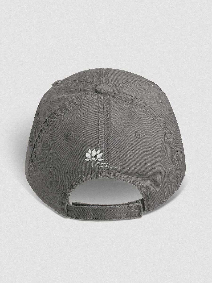 FLA Gray Distressed Hat product image (4)