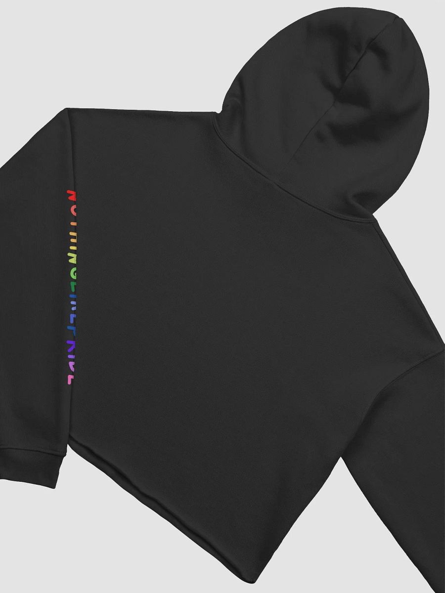 MLM Pride Cropped Hoodie product image (15)