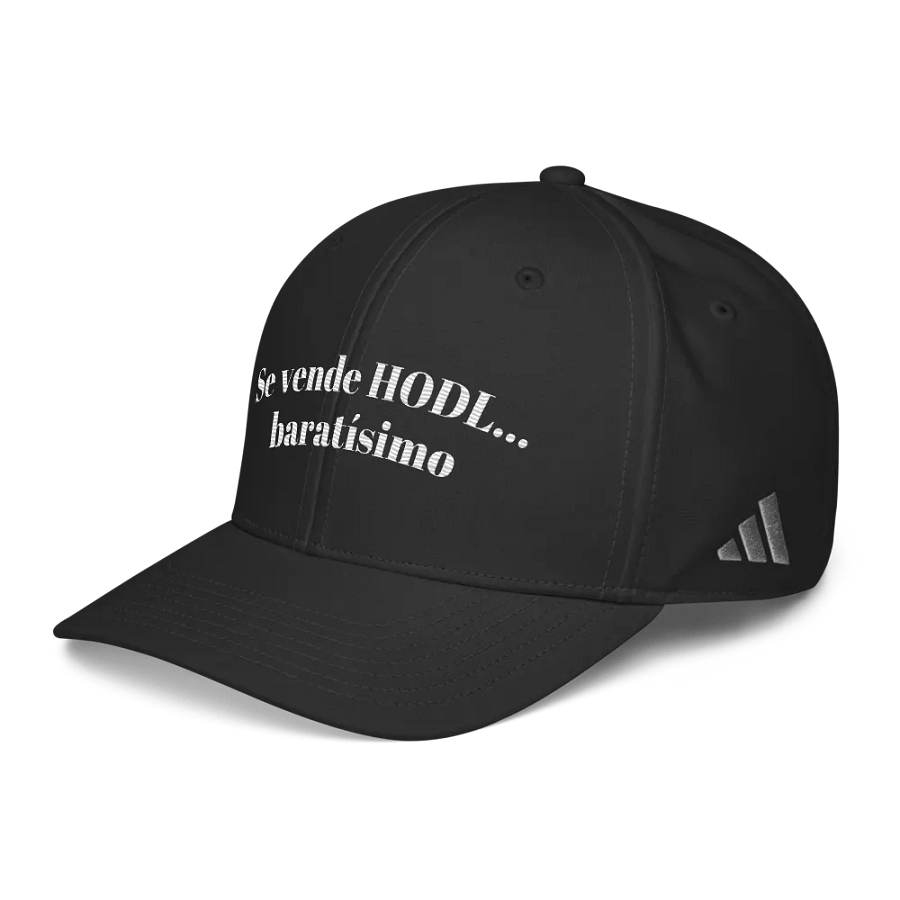 Gorra Se vende HODL... baratísimo product image (18)