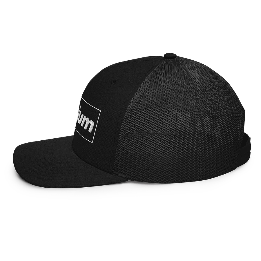 PREMIUM EMBROIDERED BLACK TRUCKER HAT product image (3)