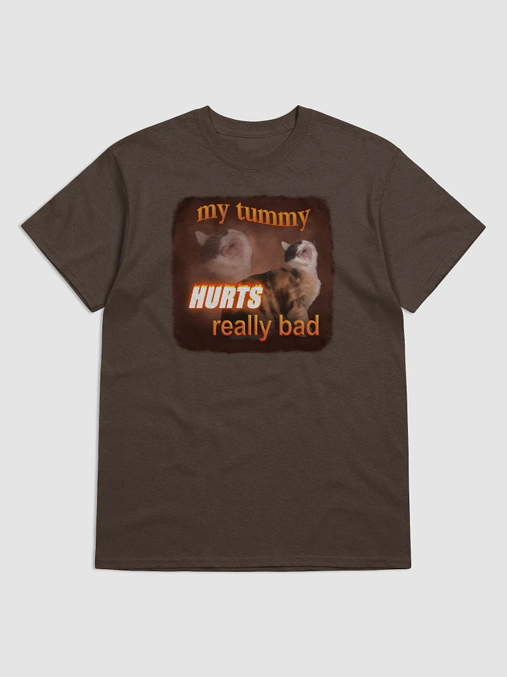 My Tummy Hurts Really Bad - Cat T-shirt product image (1)