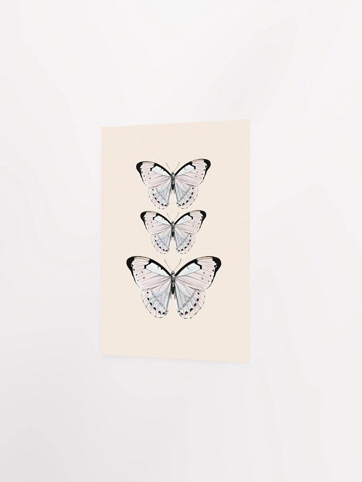 Butterfly Trio Matte Poster product image (11)