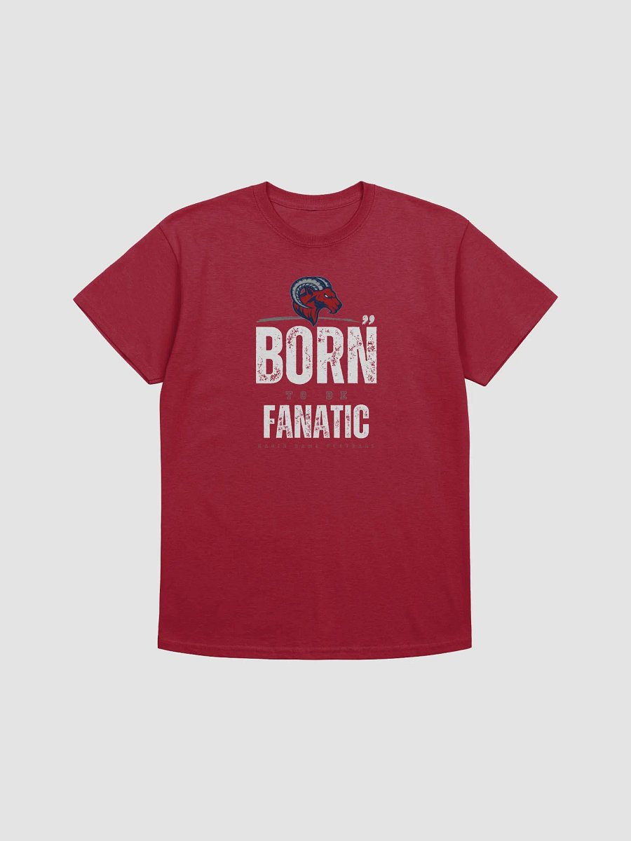 Rochester Ragin Rams T-Shirt by Gildan 