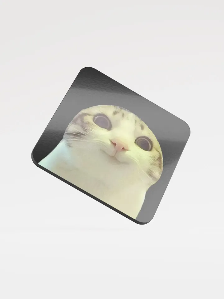 Glossed Cork Coaster: Meme Cats 2 product image (1)