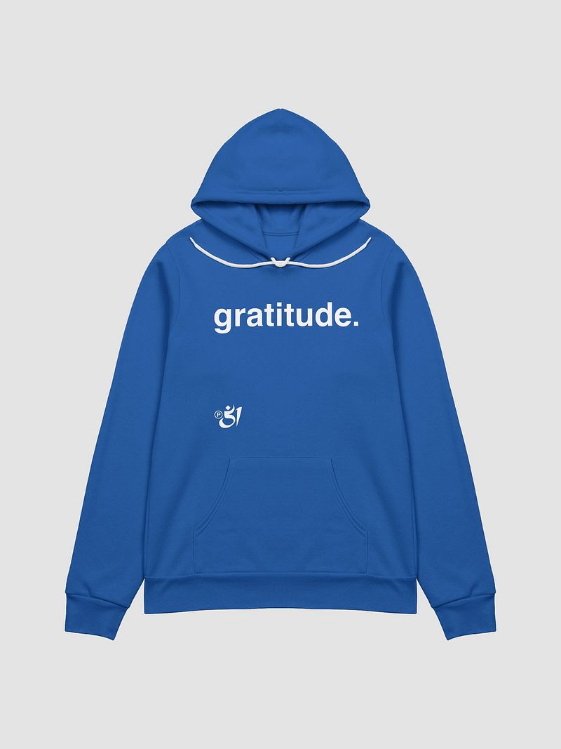 gratitude. hoodie
