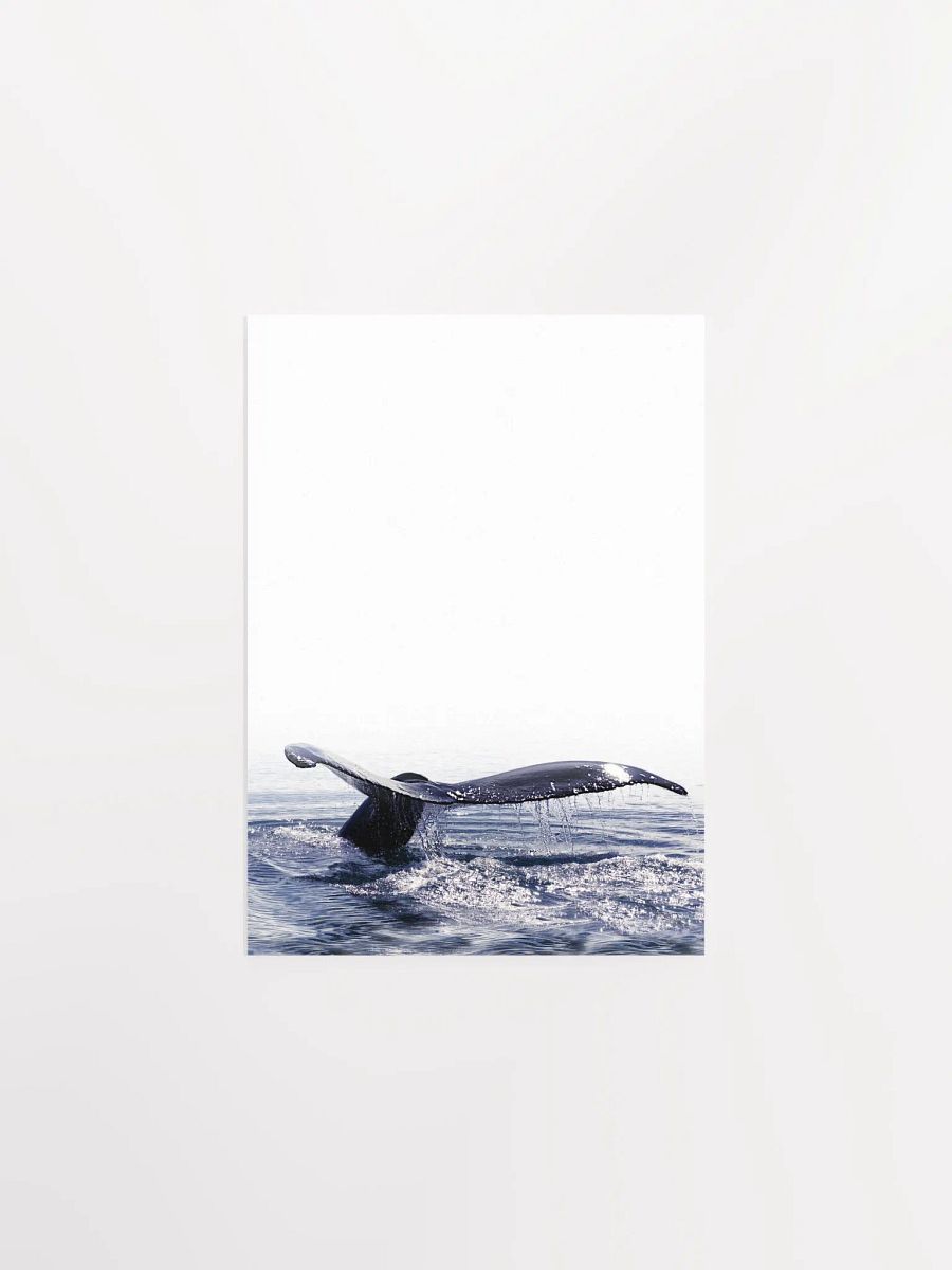 Whale Tail Dive Poster product image (1)