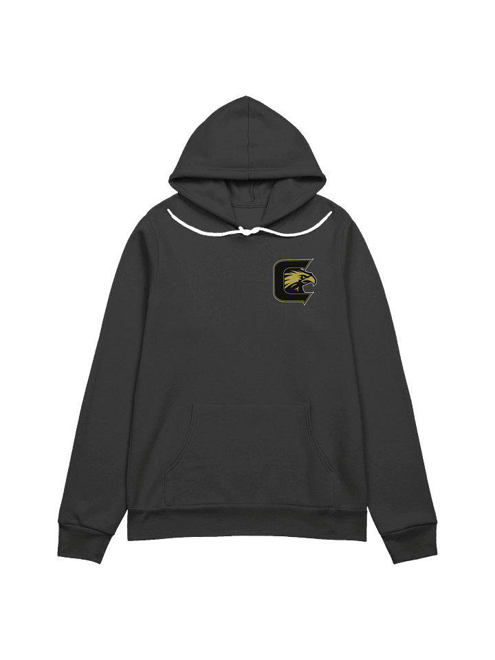 Soar Higher Falcon Hoodie product image (1)