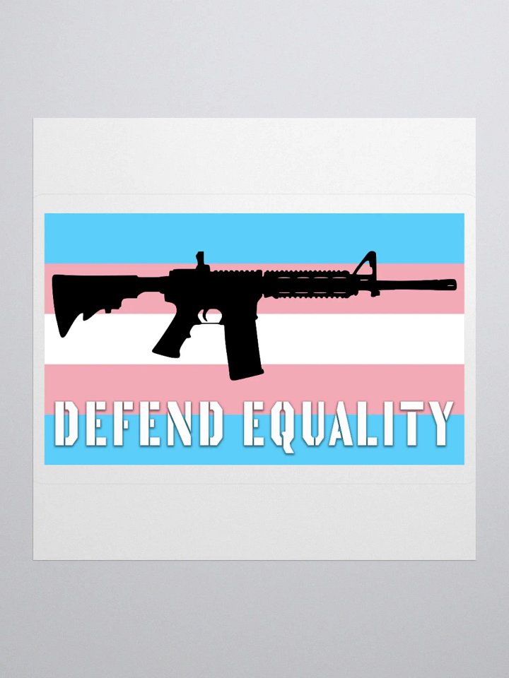 AR-15 Defend Equality Trans Flag Kiss Cut Stickers product image (4)