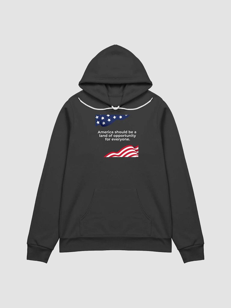 Promise – The Democracy Collection – Hoodie product image (2)