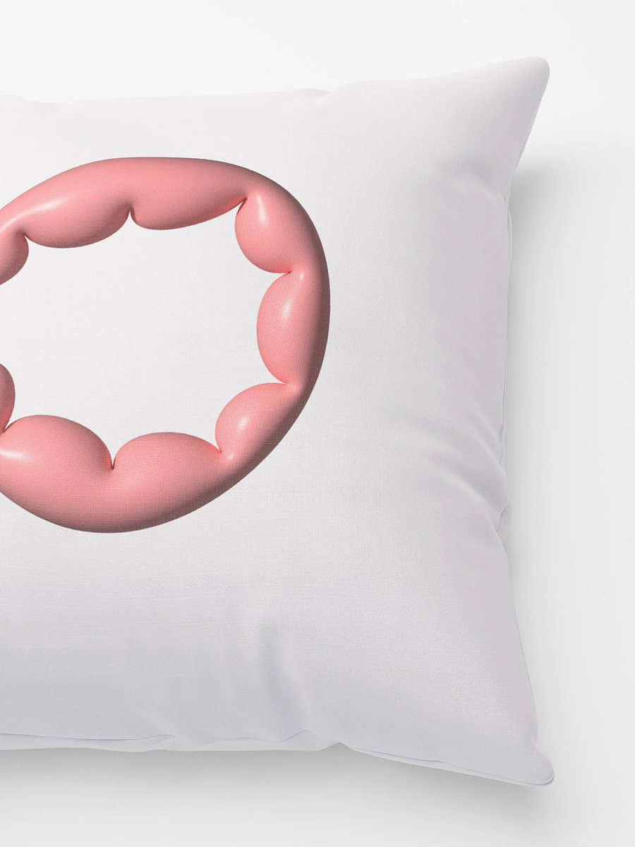 Donut · pillow product image (4)