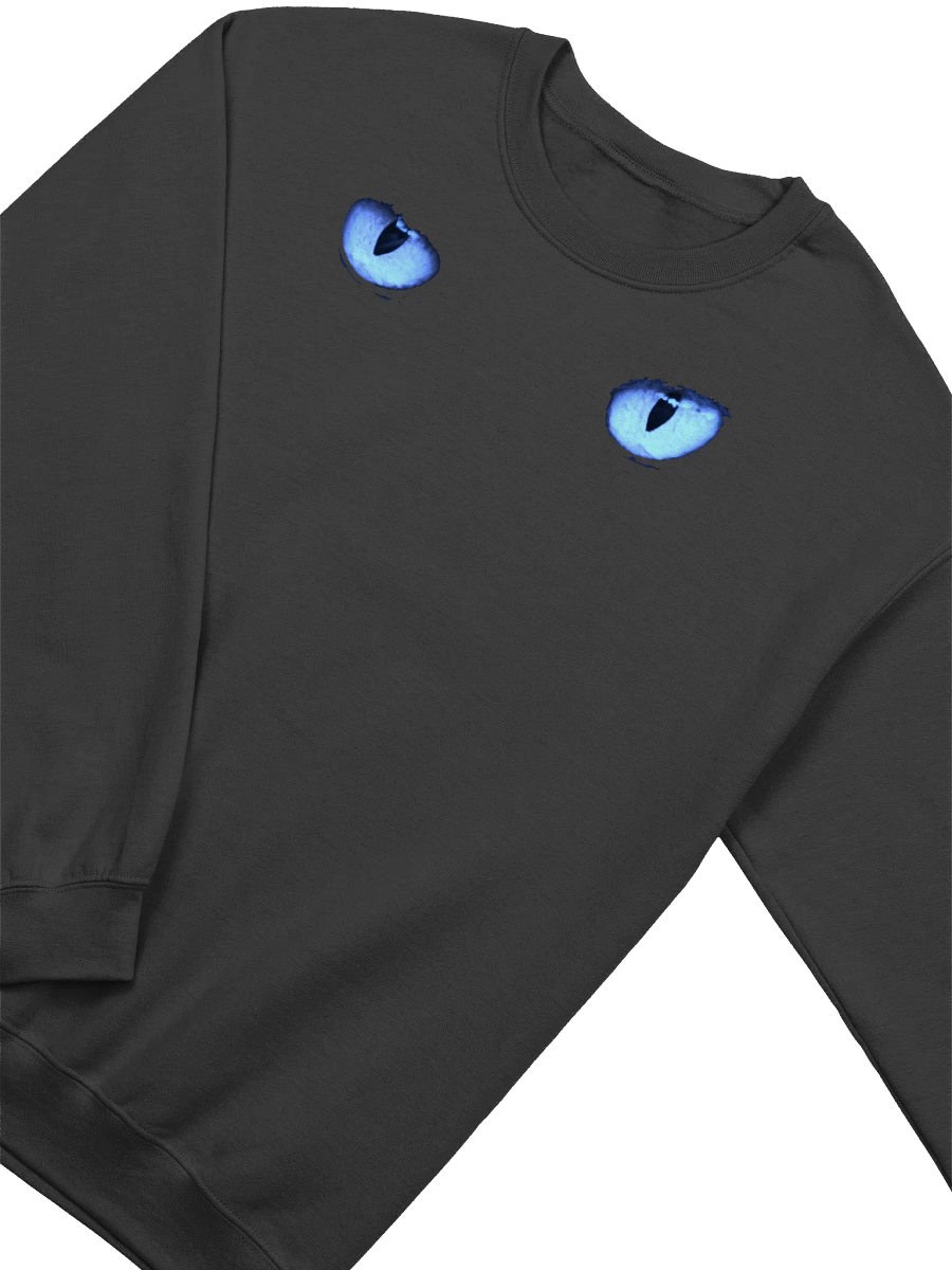CAT EYES BLUE SWEATSHIRT product image (3)