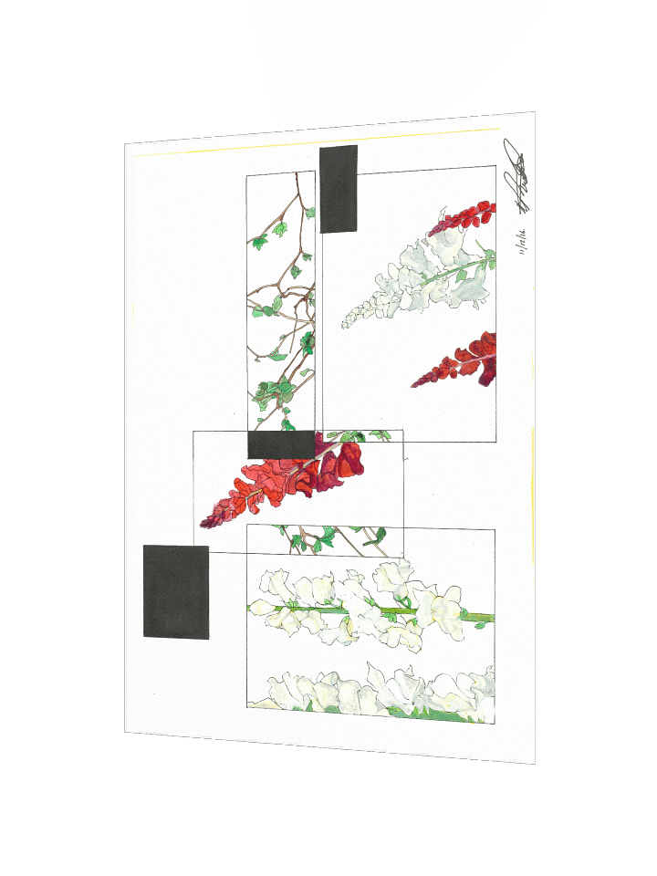 Floral Frames Poster Print (Landscape) product image (2)