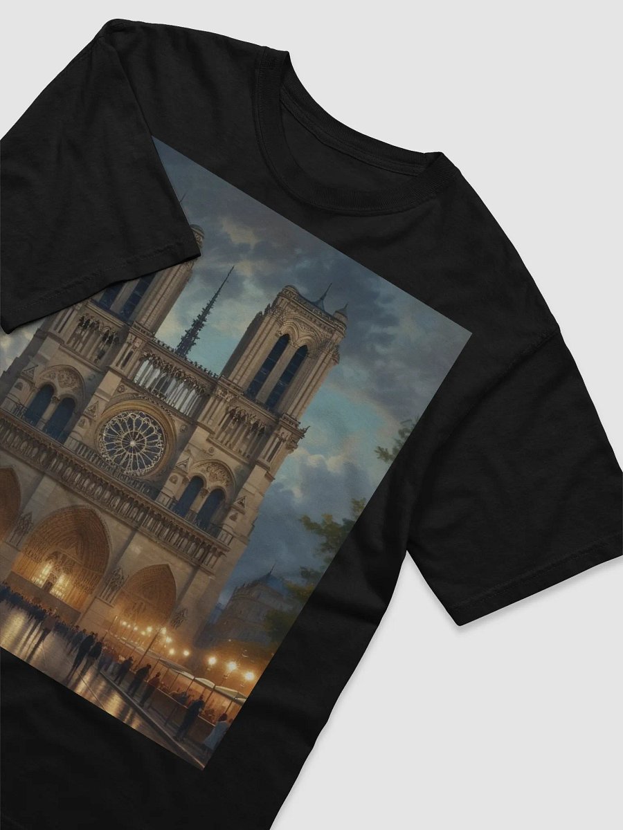 notre dame de paris product image (21)