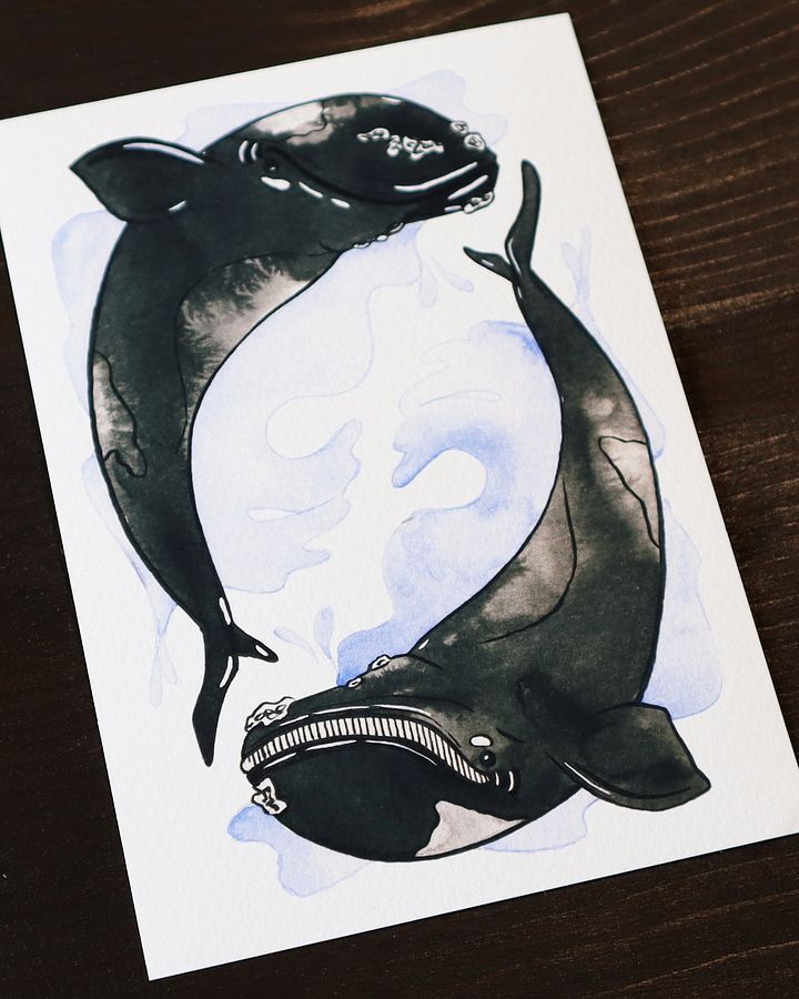 print : whales product image (1)