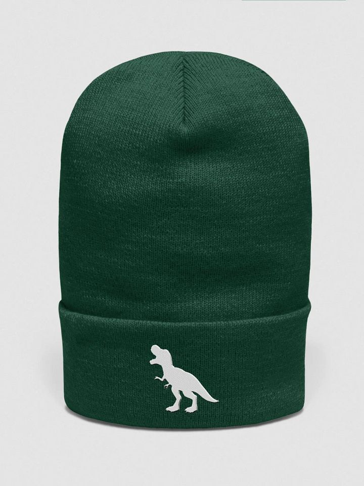 DINOSAUR Beanie product image (2)