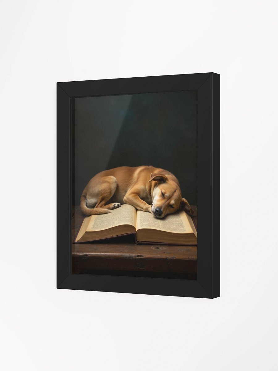 Sleeping Potcake Framed Picture 2 product image (39)