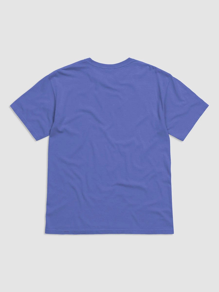Stu(dying) Stu(died) Garment-Dyed Heavyweight T-Shirt product image (6)