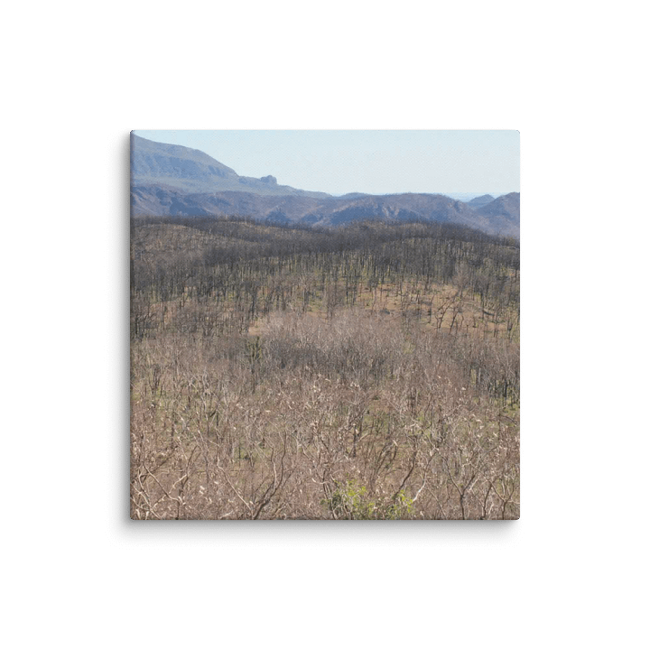 Historic Coonabarabran NSW Fire Canvas product image (2)