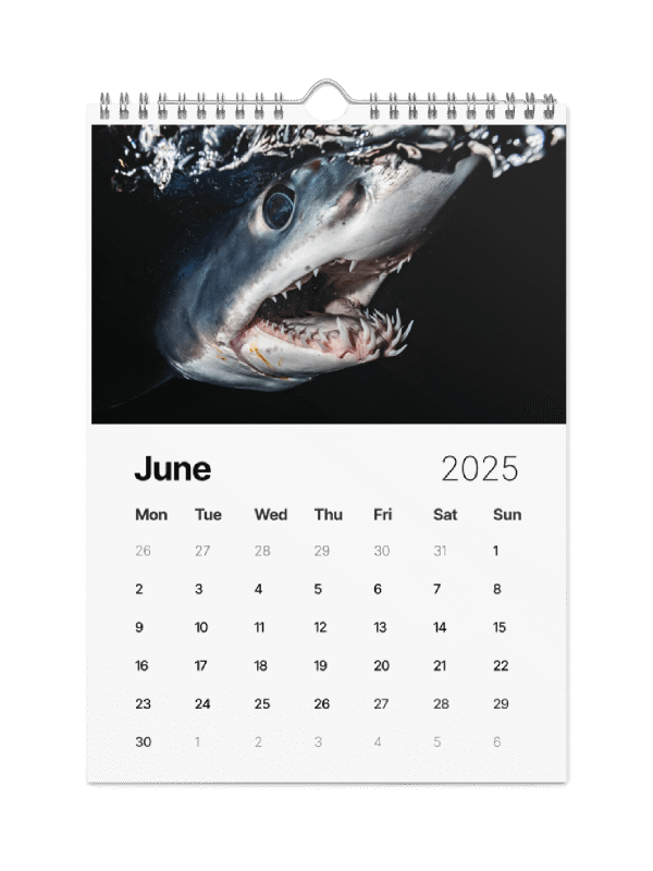 The Malibu Artist 2025 Calendar product image (7)