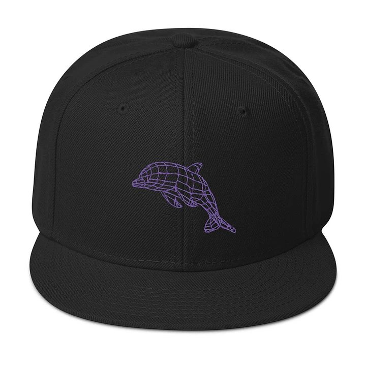 Wireframe Dolphin Snapback product image (1)