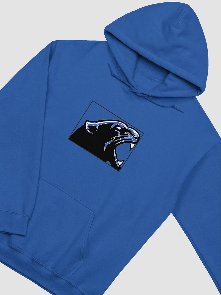 NCI Team Hoodie product image (5)
