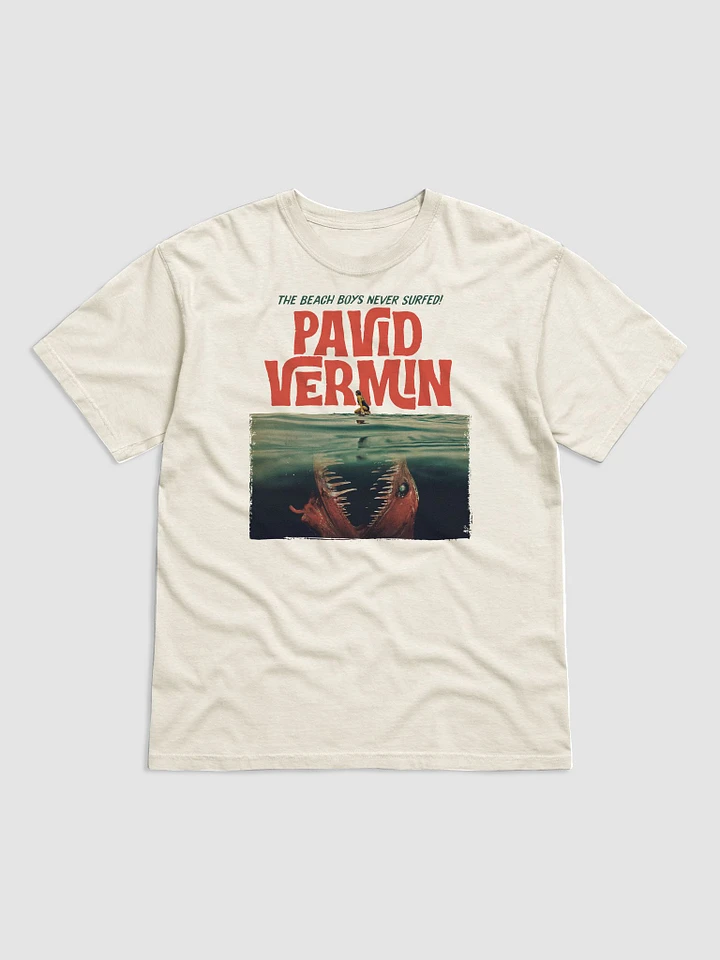 Pavid Vermin - The Beach boys Never Surfed! product image (1)