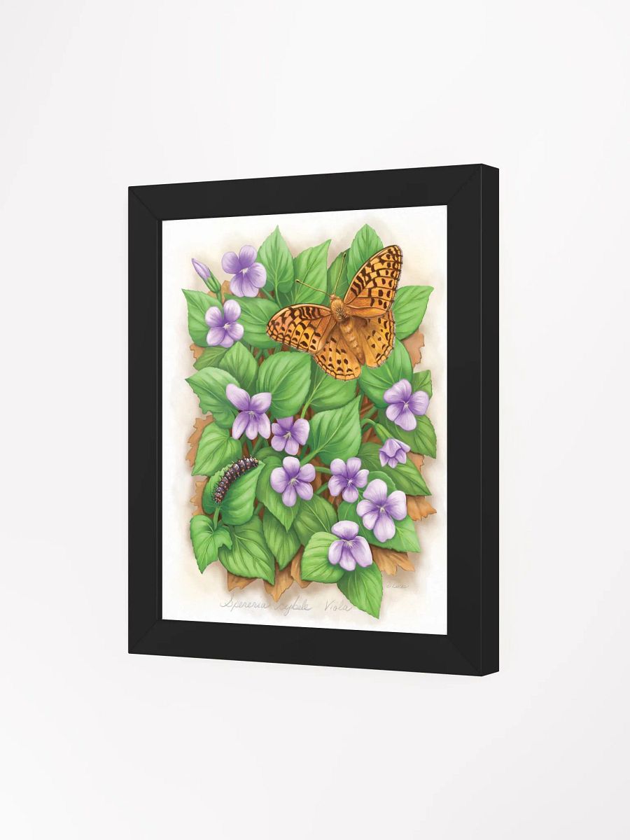 Fritillary Butterfly & Caterpillar product image (35)