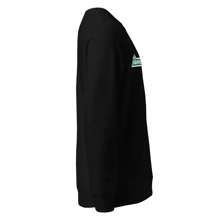 W2N Sweatshirt product image (4)