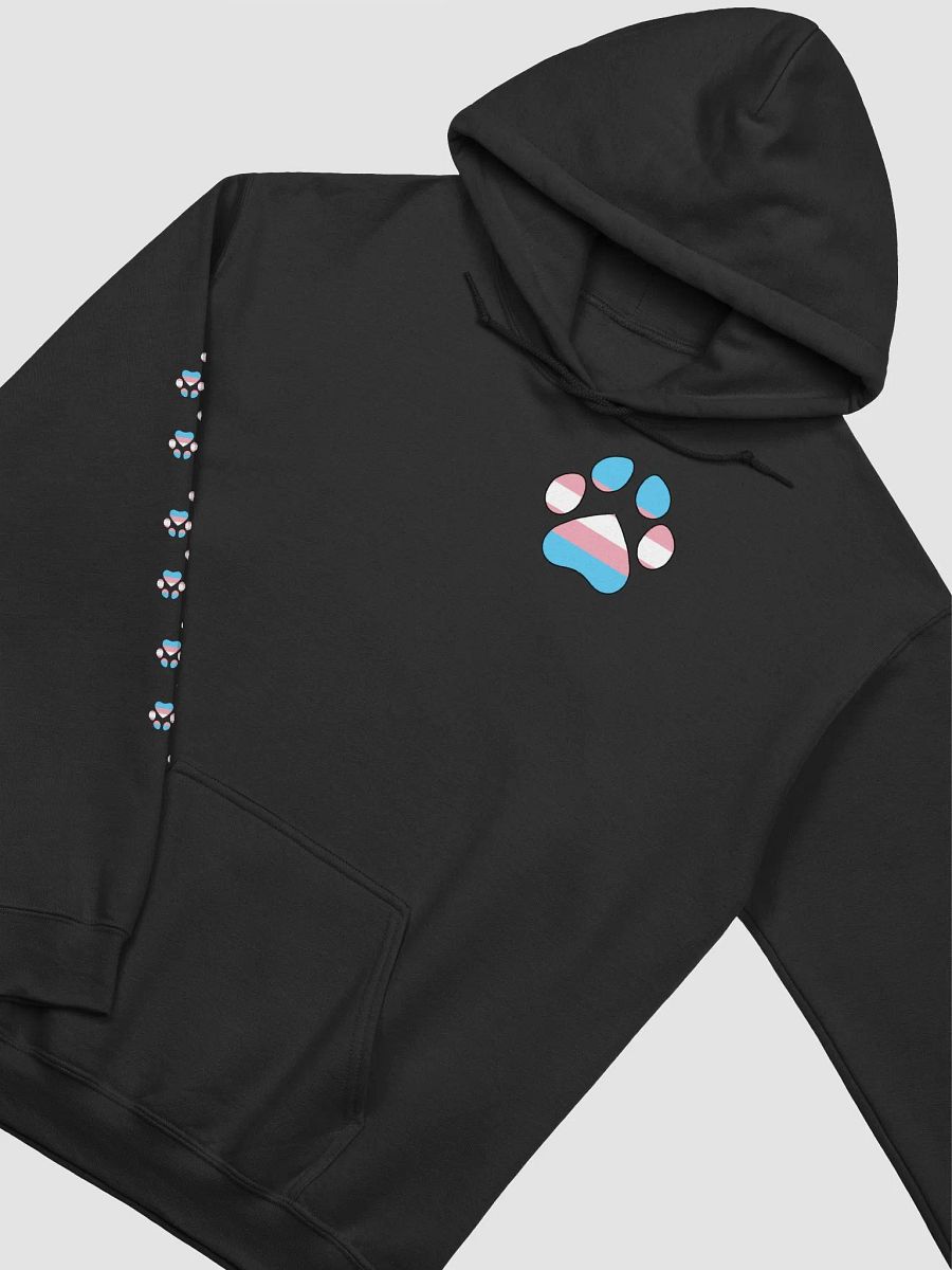 Pride Month-Trans Gender Pullover Hoodie product image (33)