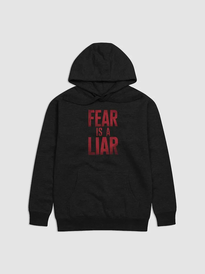 Fear is a liar Unisex Hoodie product image (1)