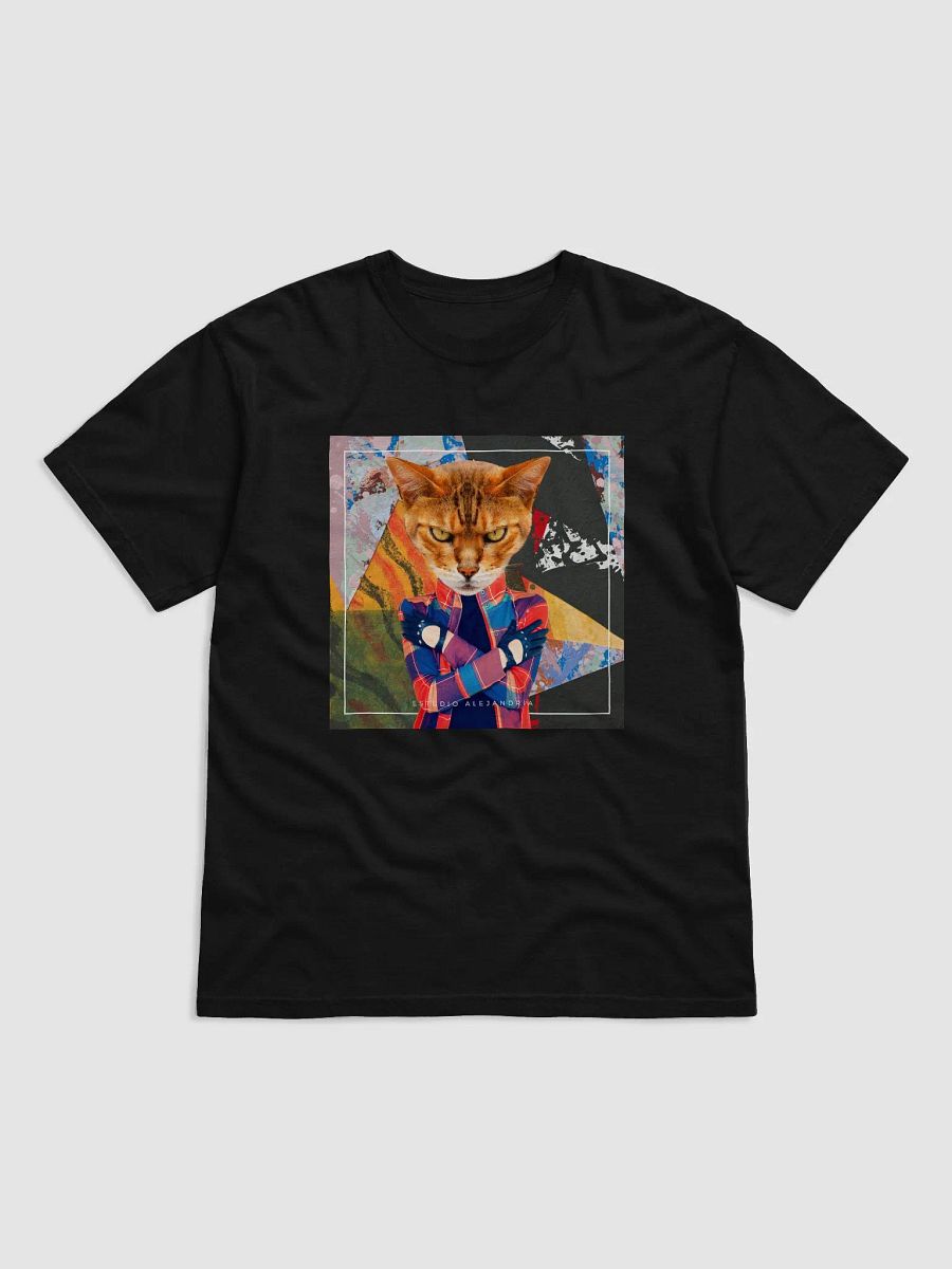SCHRÖDINGER product image (1)