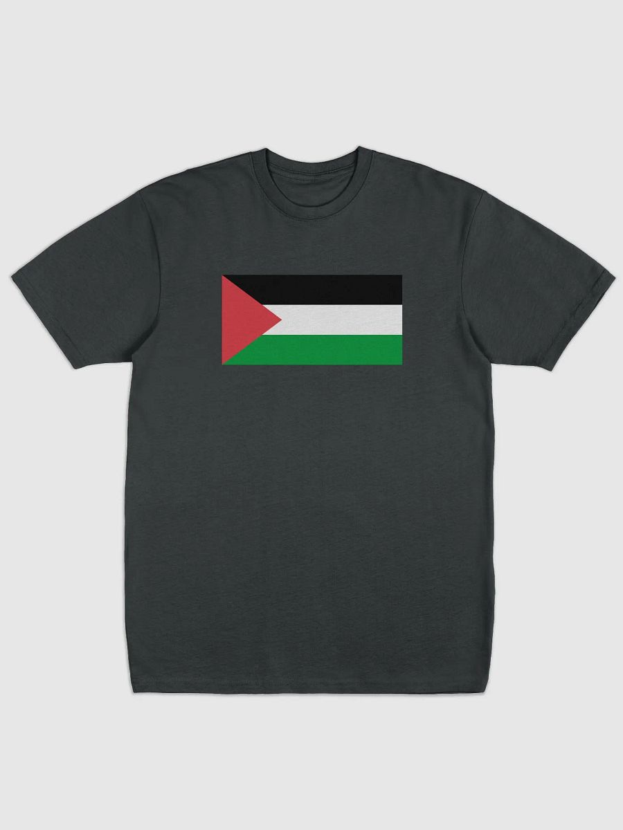 Palestine T-Shirt - Big Flag product image (1)