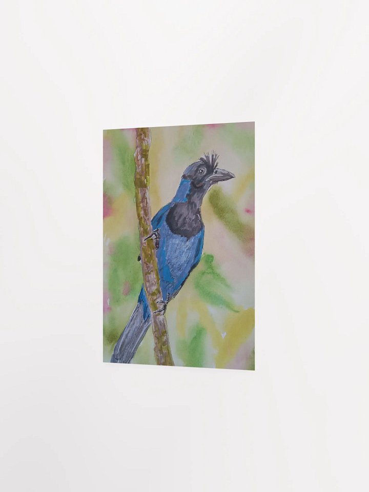 Corvid Series [07] Azure jay poster print product image (2)