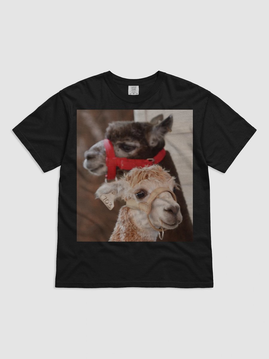 Alpaca Harmony T-Shirt product image (1)
