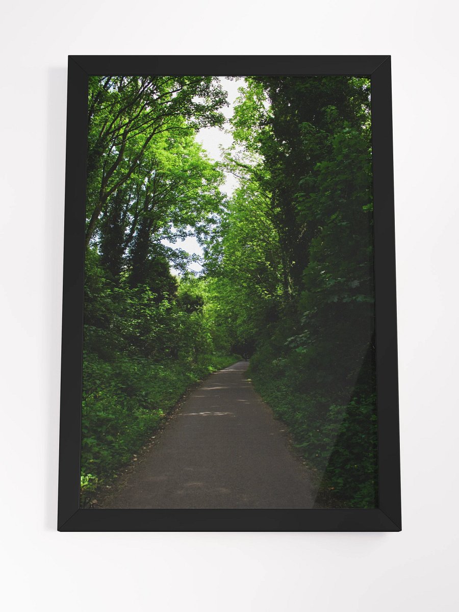 Vibrant Forest product image (4)
