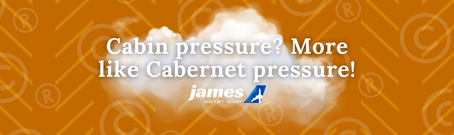 🍷 Cabin Pressure? More Like Cabernet Pressure! - Traveller’s Wine Tumbler product image (3)