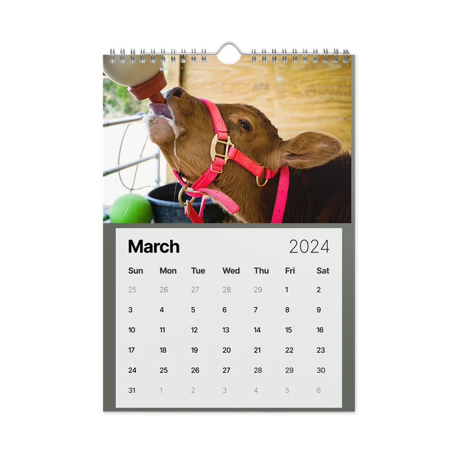 Alveus 2024 Calendar product image (14)