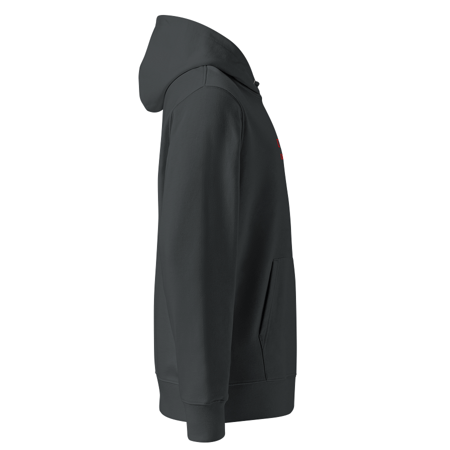 UFO Ultraconservative Family Oriented Hoodie product image (4)