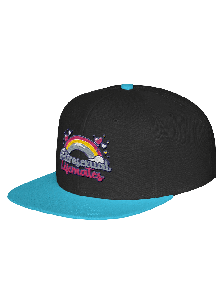 'Heterosexual Lifemates' Snapback product image (2)