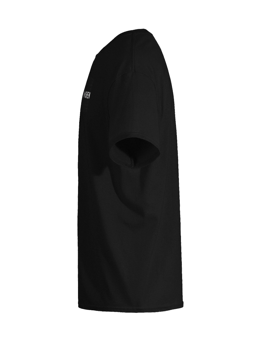 Team Ashen Embroidered Tee product image (11)