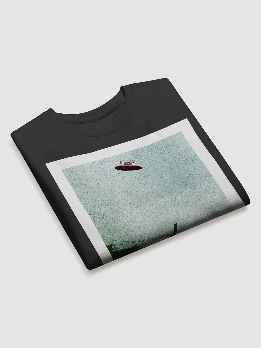 UwUspiracy Sweatshirt product image (3)