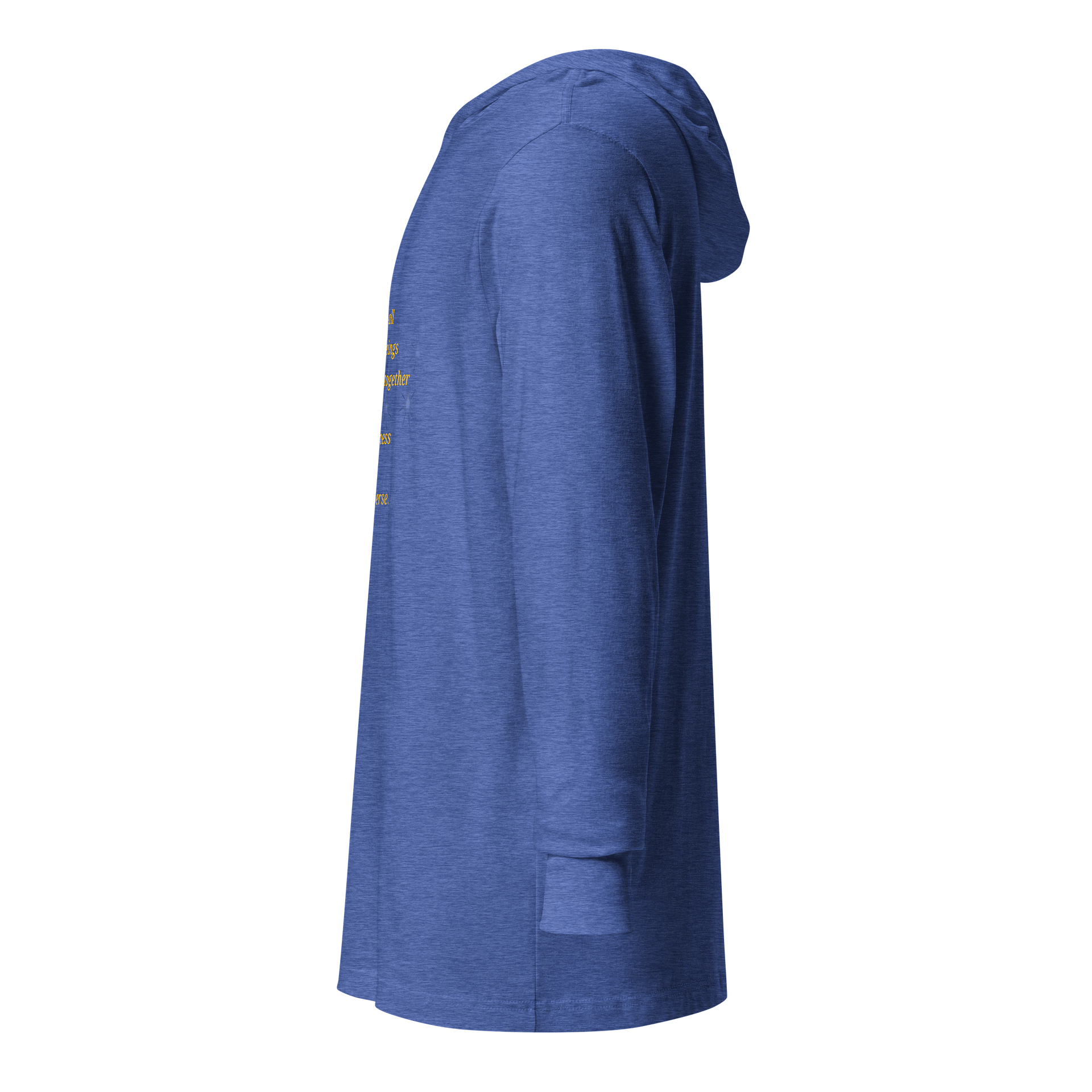 Cosmic Journey Unisex Hooded Tee product image (4)