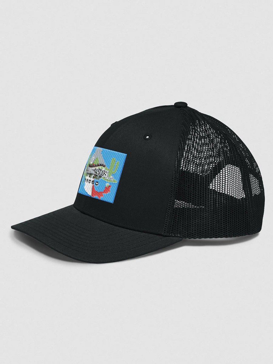 cool hat for a cool cat product image (5)